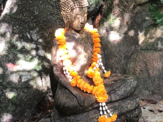 Buddha