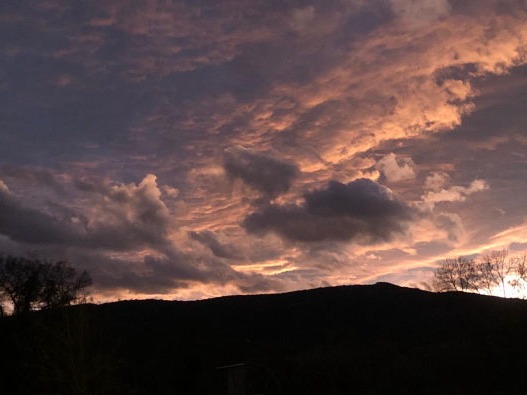 Sauve Sunset