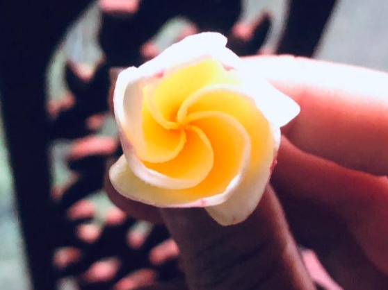 Spiral FLower